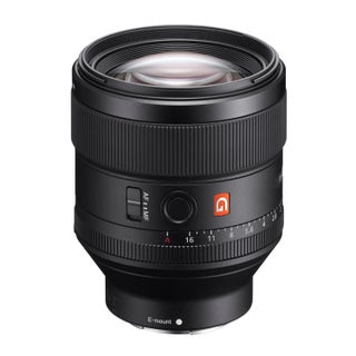 Sony FE 85mm f/1.4 GM Lens)